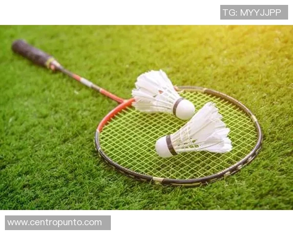 深圳羽毛球队在羽毛球节奏排名中创下新高引领全国水平提升