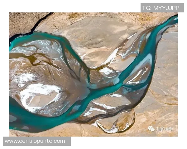 深入分析杭州极限运动队独特进攻策略与战术布局的全景解读