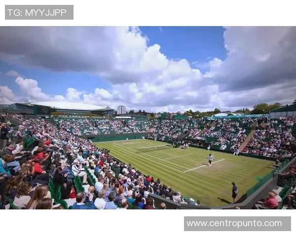 南京网球队状态深度对比分析揭示球队潜力与挑战