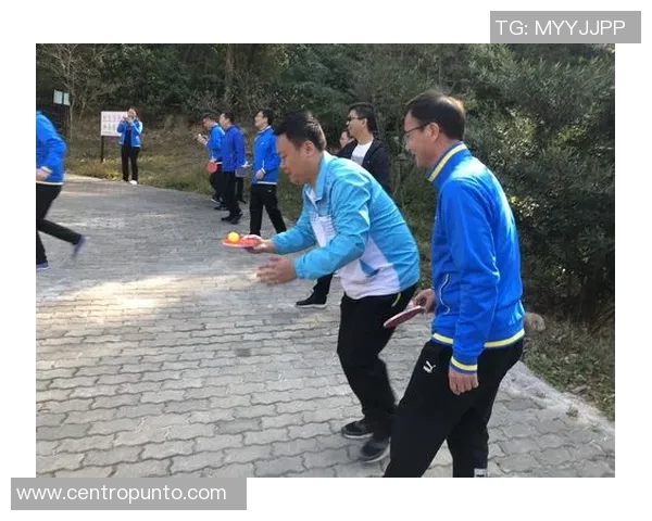陈娜的乒乓球人生深度对话探索她的成长与奋斗历程